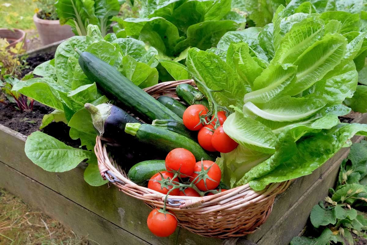 Organic farming practices